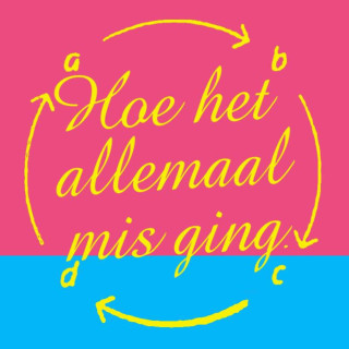 Hoe het allemaal misging