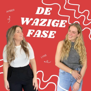 De wazige fase