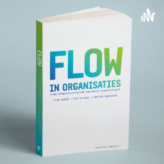 Flow in organisaties