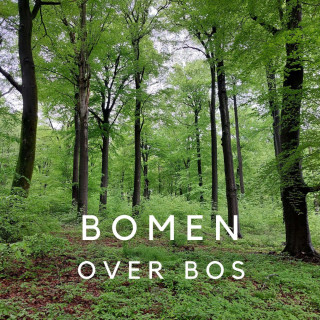 Bomen over bos