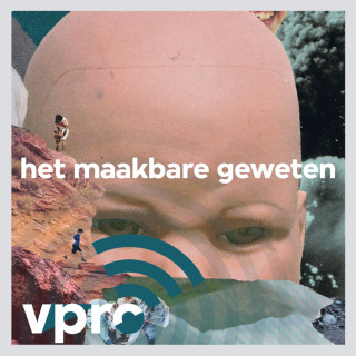 Het maakbare geweten