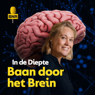 In de Diepte: Baan door het Brein